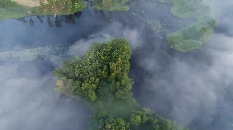 Ett skogslandskap sett uppifrån i dimma.