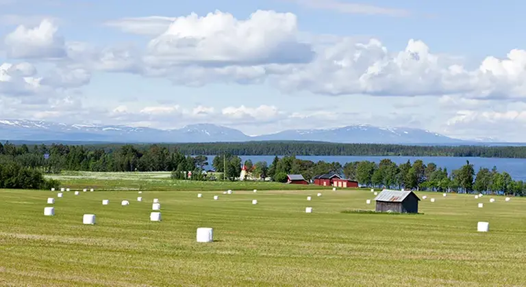 Ett soligt fält med plastade rundbalar på en
sluttning ner mot en sjö. I bakgrunden en ängslada, en gård, skog och berg.